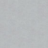 Denim Surface  5317